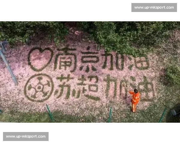 苏超应援团：跨省跨国的超级人脉网络